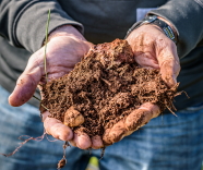 McHenry Hohnen receives biodynamic certification